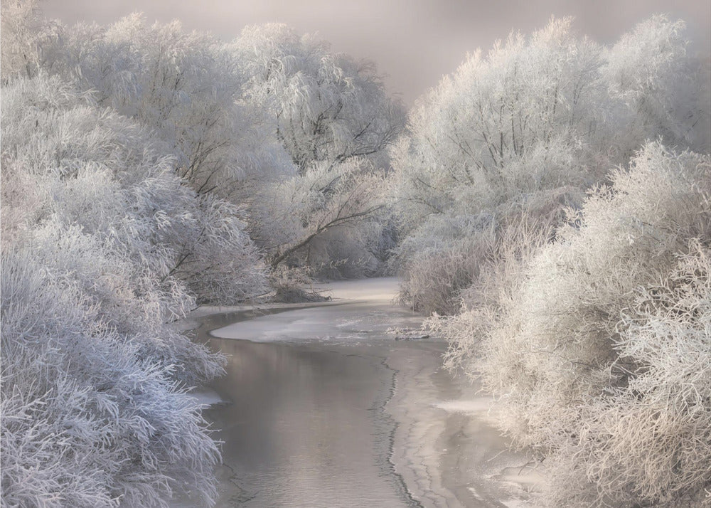 Chanson d'hiver | Papier Peint Photo