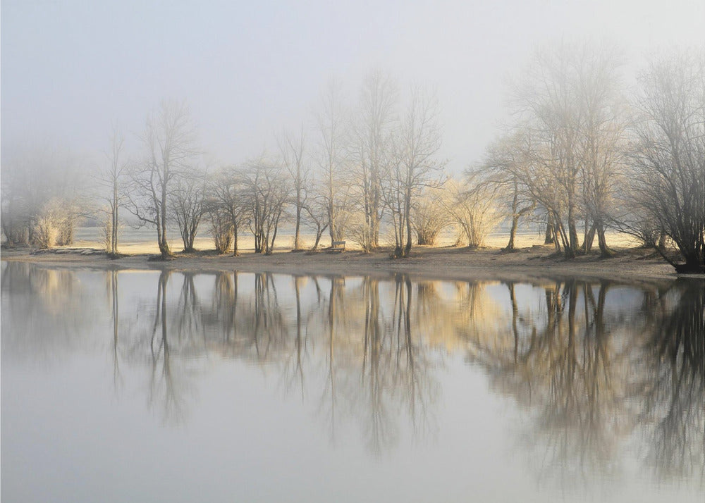mattina di gennaio | Carta da Parati Fotografica