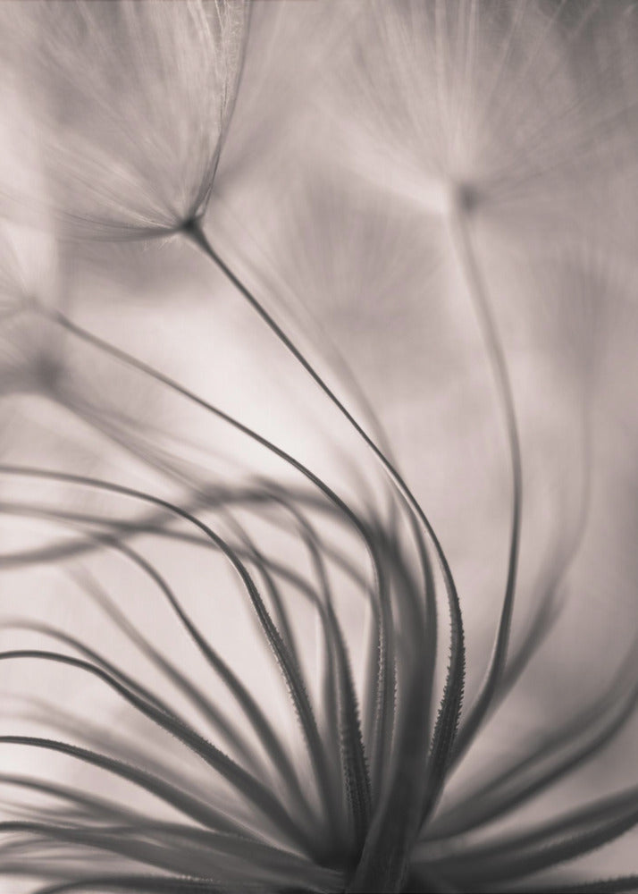 Sans titre | Tableaux sur Toile