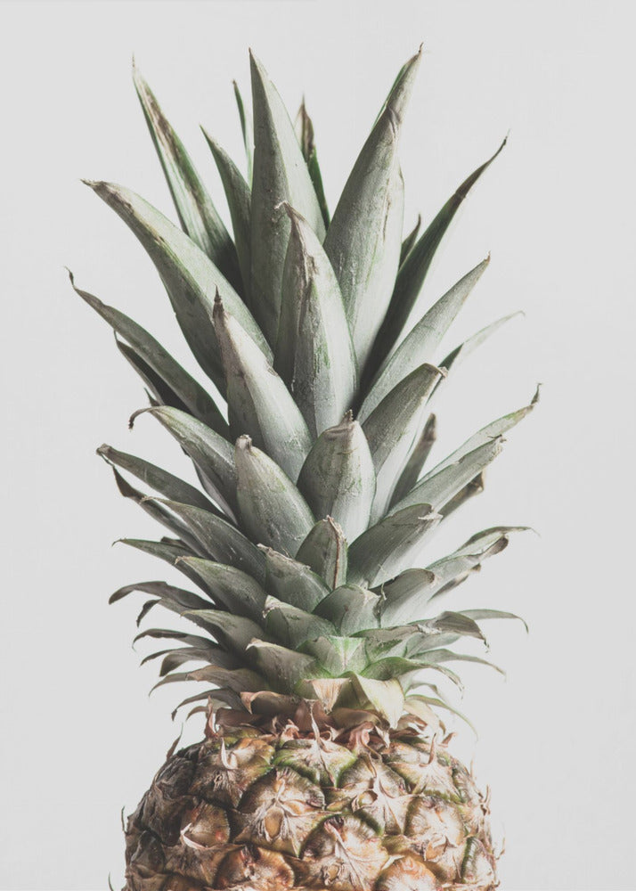 Ananas Natural | Julisteet - Taidevedokset