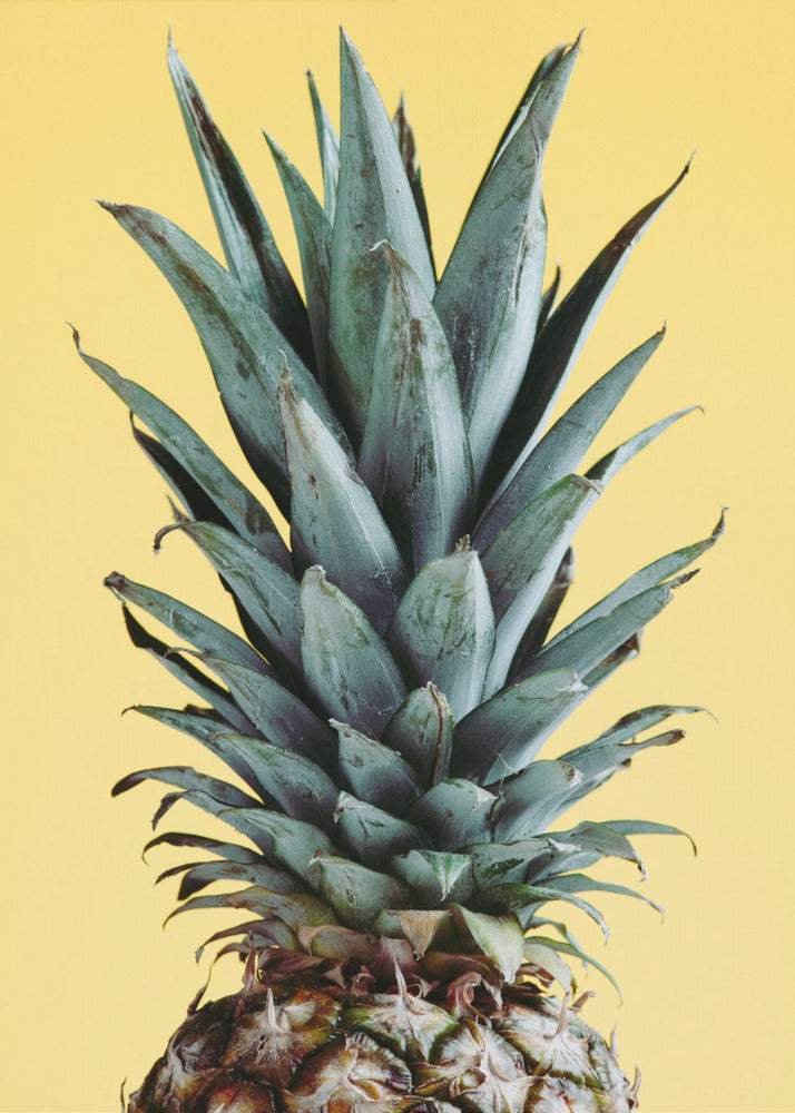 Ananas Jaune 01 | Posters - Affiche Artistique