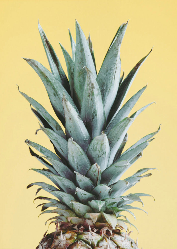 Ananas Żółty 03 | Plakaty - Wydruki Artystyczne