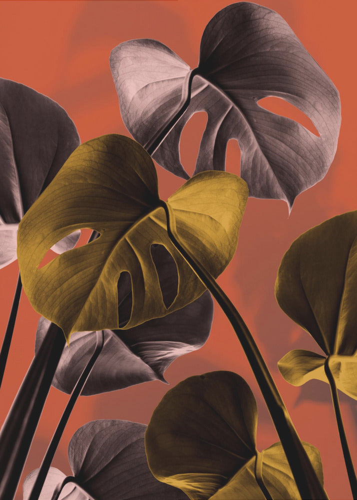 Monstera Arancione 01 | Stampe su Tela