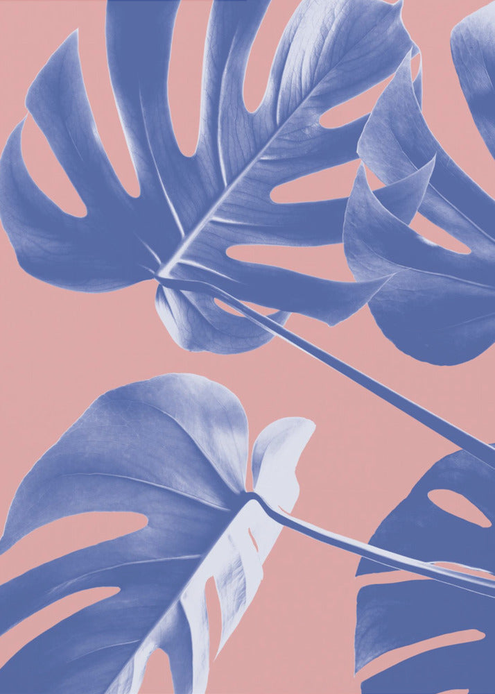 Monstera Purple 06 | Canvastaulut