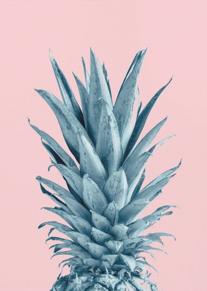 Ananas Rose 06 | Posters - Affiche Artistique