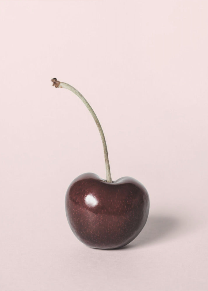 Single cherry | Poster