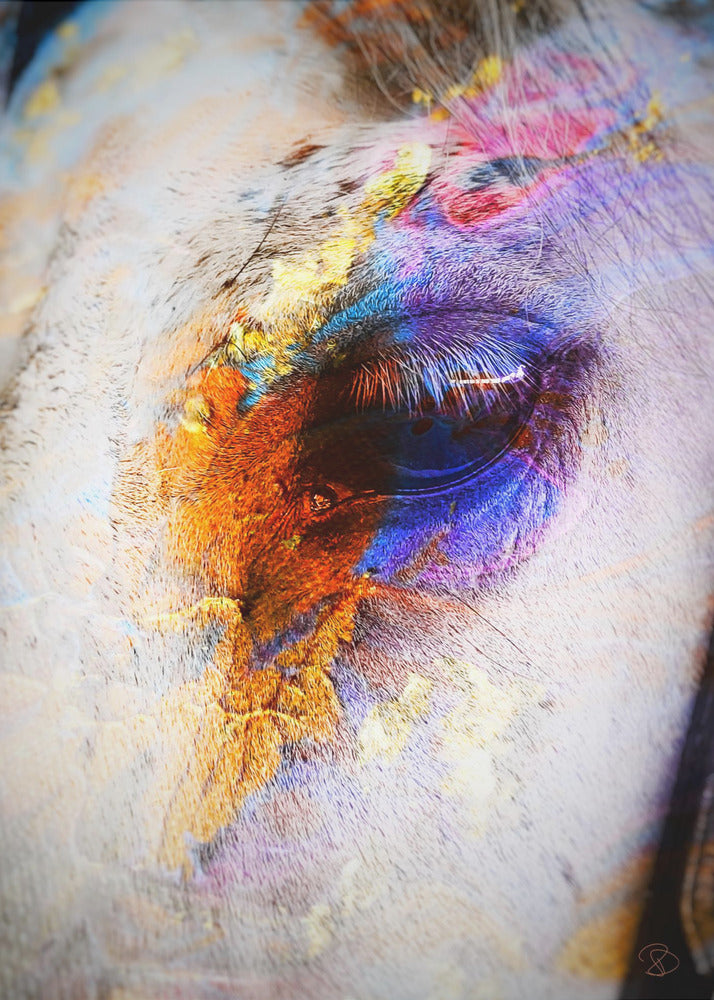 Geschilderd paard | Canvasprints