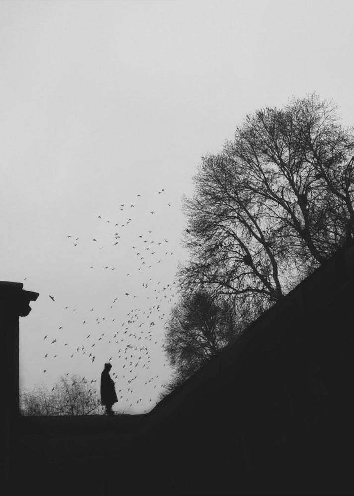 Errie | Lærredsbilleder