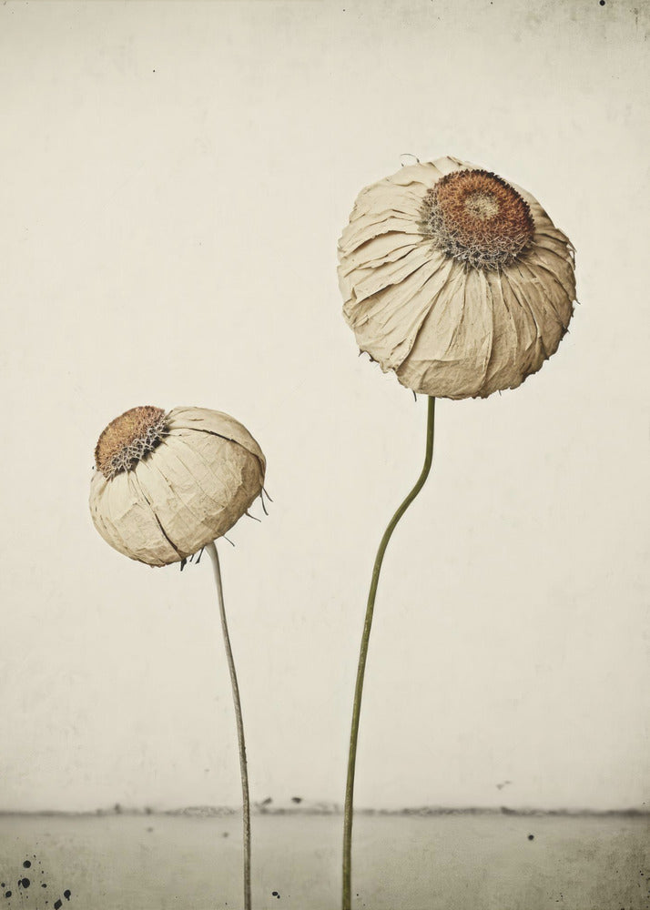 Fiore eterno | Stampe su Tela