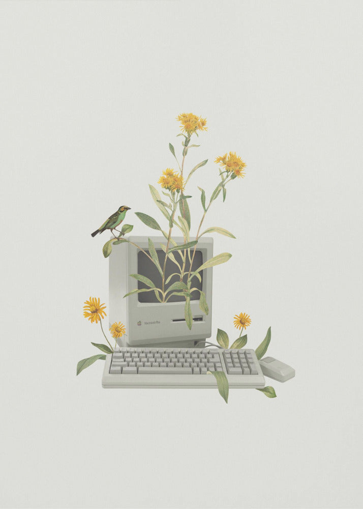 Computer vintage floreale | Stampe su Tela