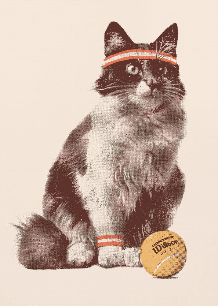 Tenniskissa | Canvastaulut