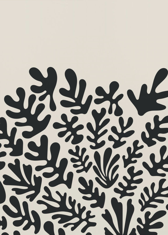 Colección Algas Negras Henri Matisse #2 | Impresiones en Lienzo
