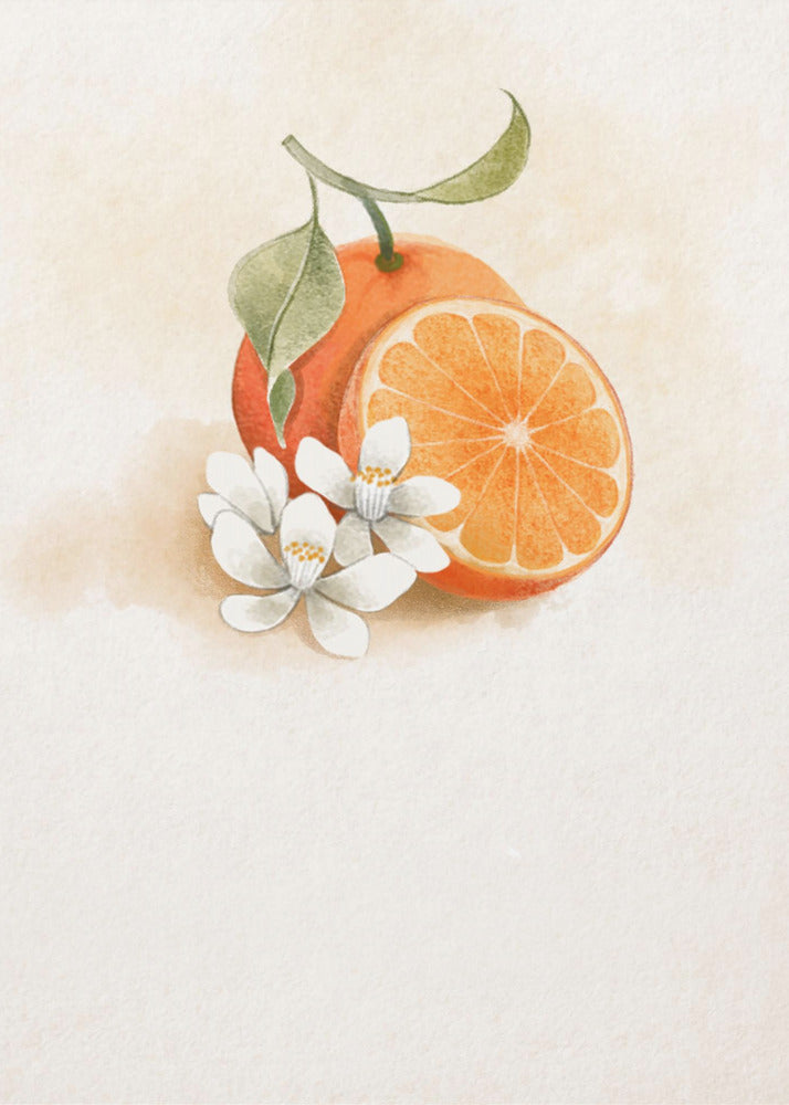 Saftige Orange | Poster - Kunstdruck