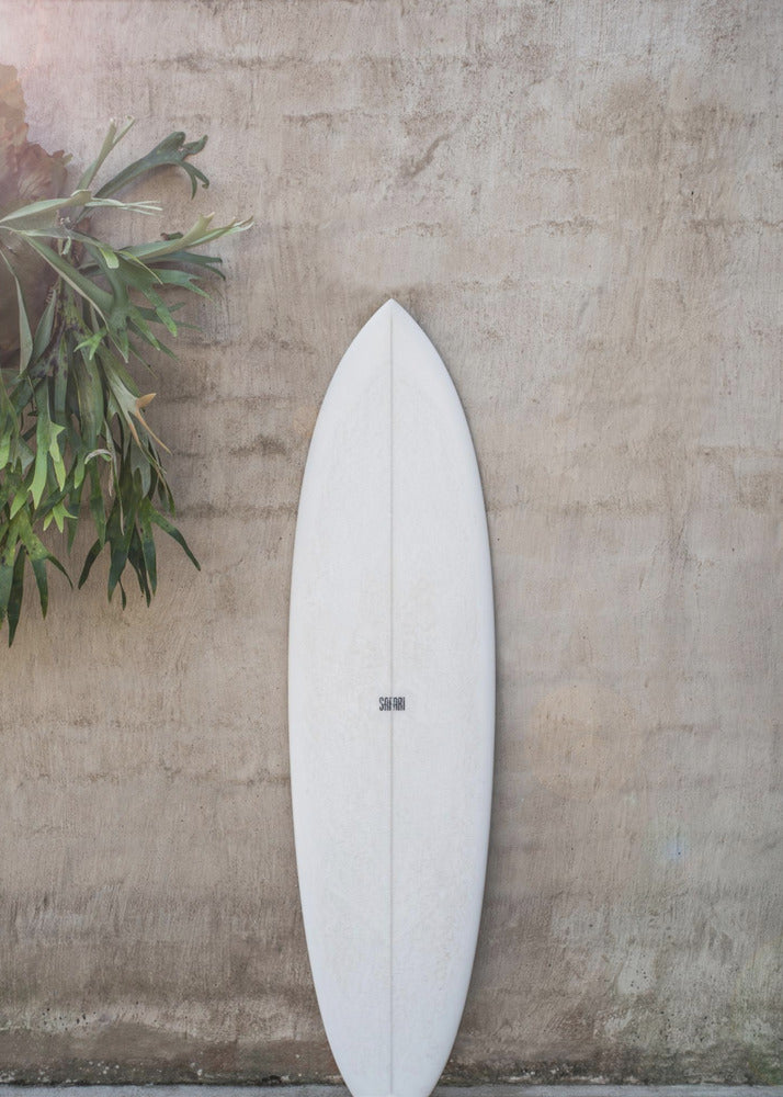 Safari Twinfin | Stampe su Tela