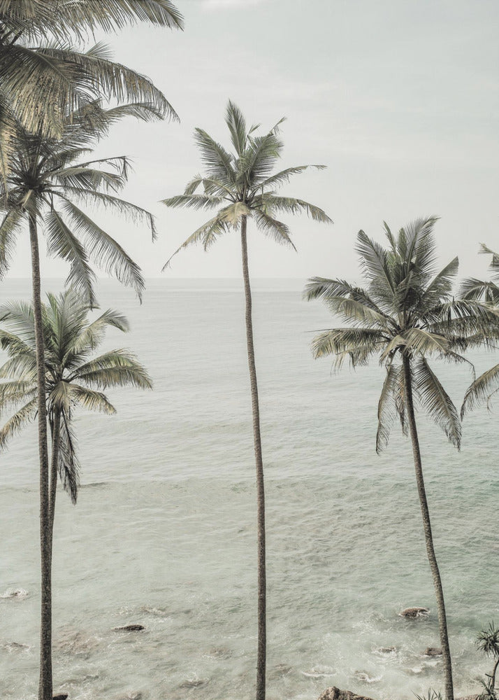 Sogni tropicali | Stampe su Tela