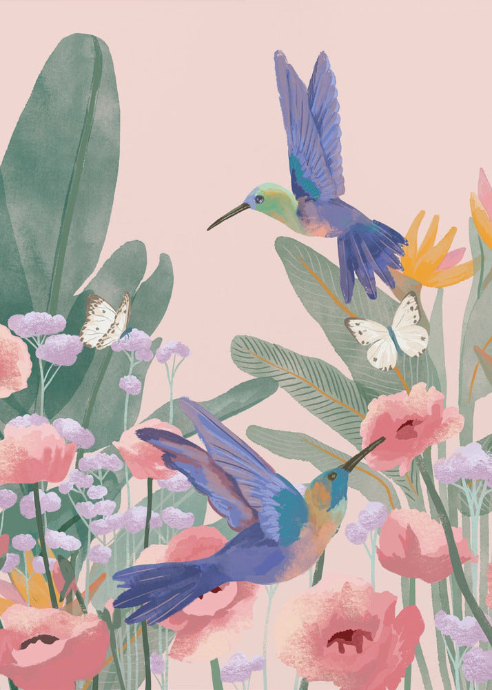 Kolibry | Wydruki na łótnie