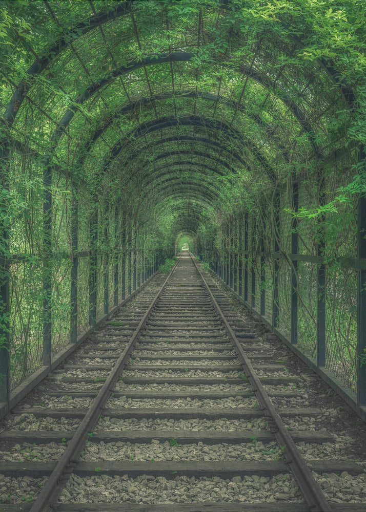 Tunnel vert | Tableaux sur Toile