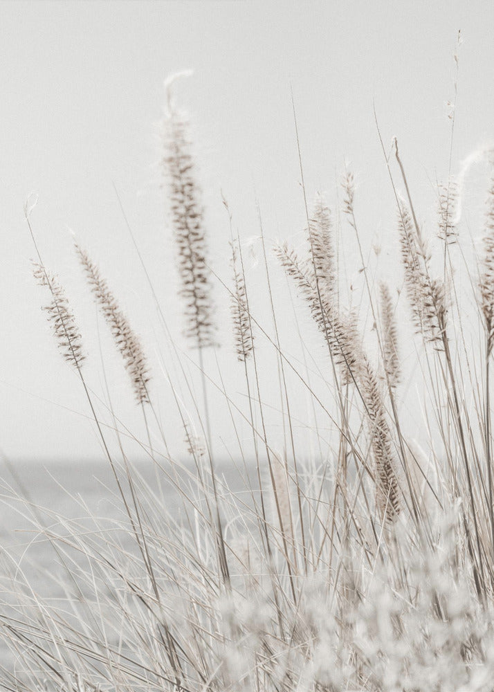 Grass | Canvas
