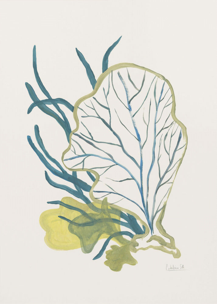 Algae No1 | Poster