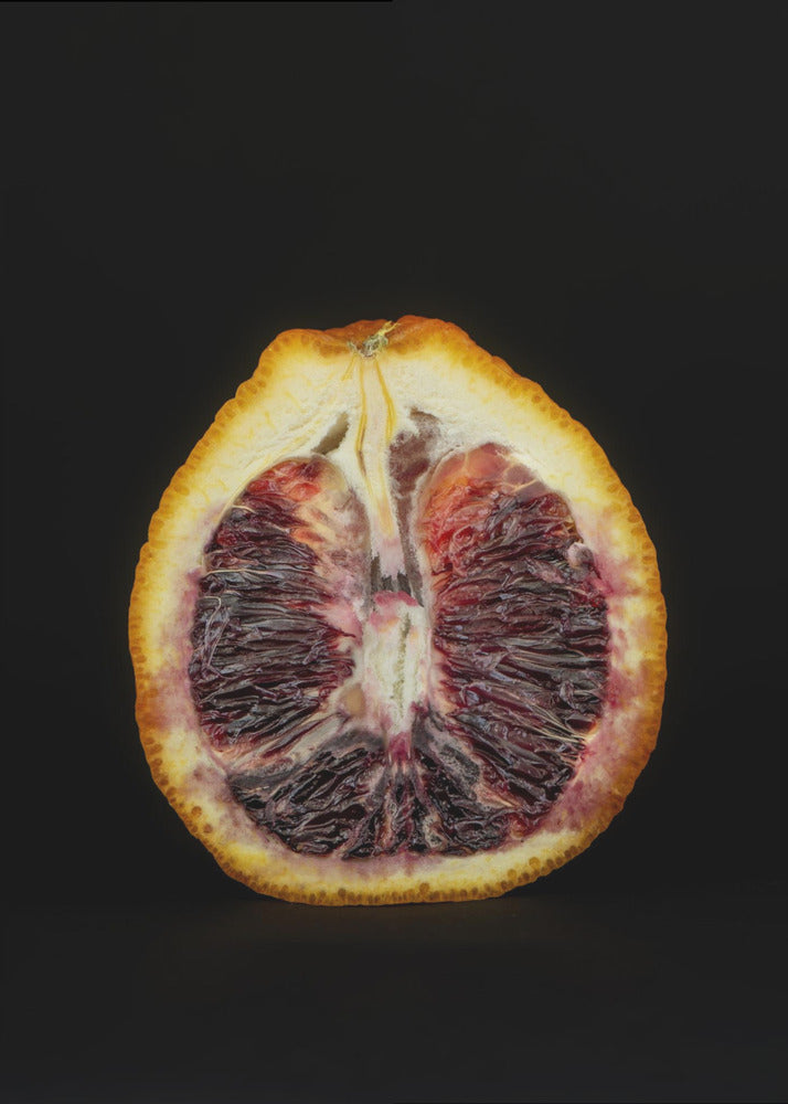 Crimson Slice | Poster