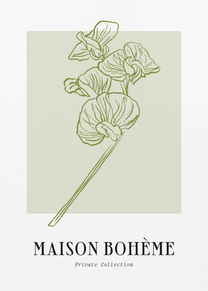 Elegant Blooms | Poster