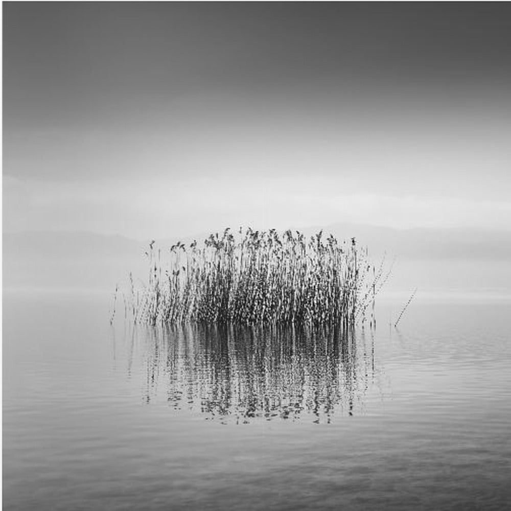 Schwarz-weiße Stille | Leinwand-Bilder