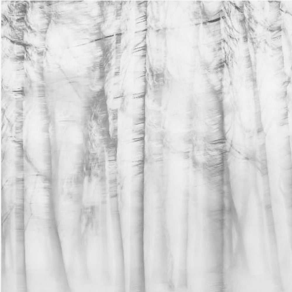 Runollinen metsä | Canvastaulut