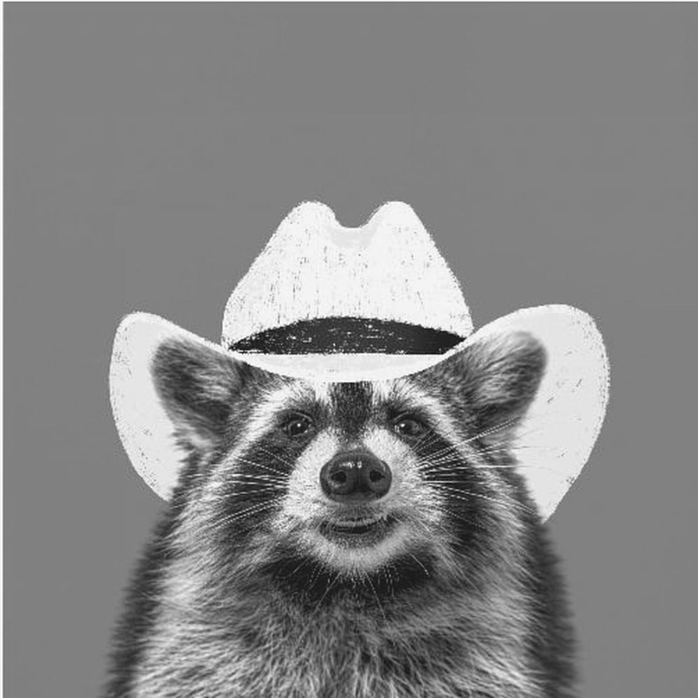 Wyatt, der Cowboy-Waschbär | Leinwand-Bilder