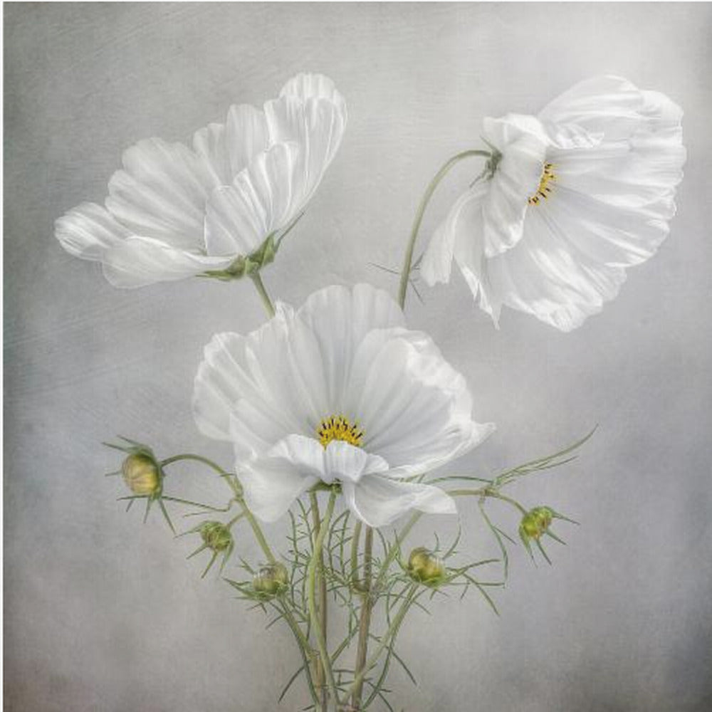Ciondolo Cosmos | Stampe su Tela