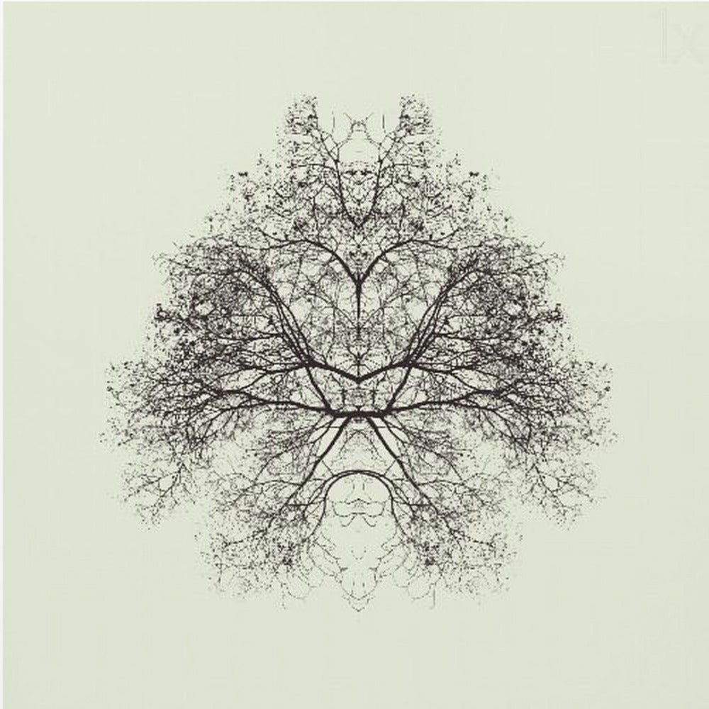 Rorschach-Test | Leinwand-Bilder