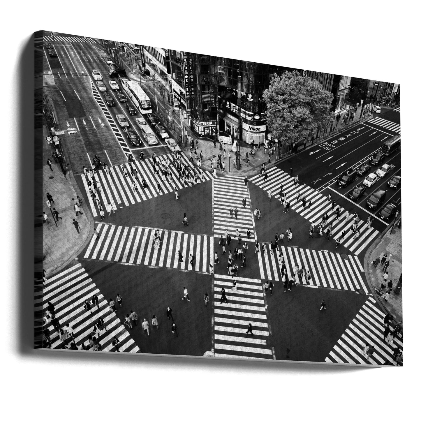 Ginza | Canvas