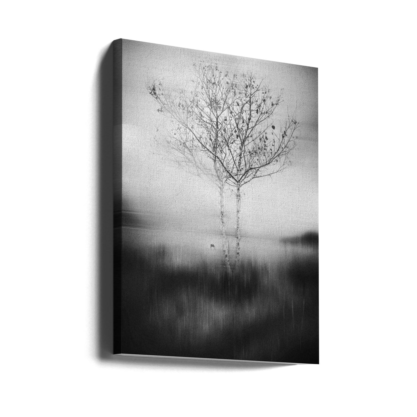 Det där trädet | Canvas