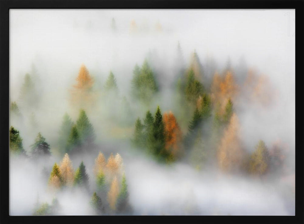 Herbsttraum | Poster - Kunstdruck