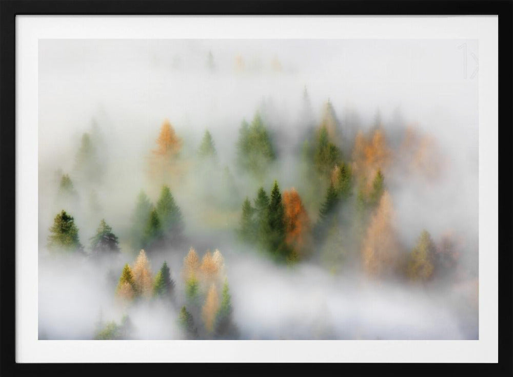 Herbsttraum | Poster - Kunstdruck
