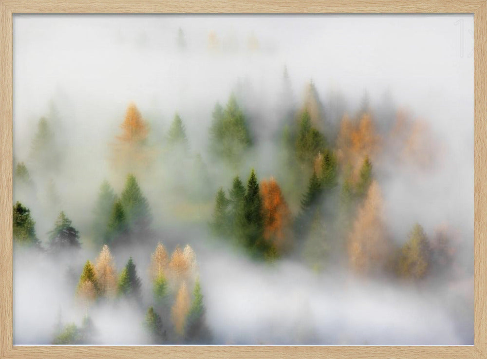 Herbsttraum | Poster - Kunstdruck
