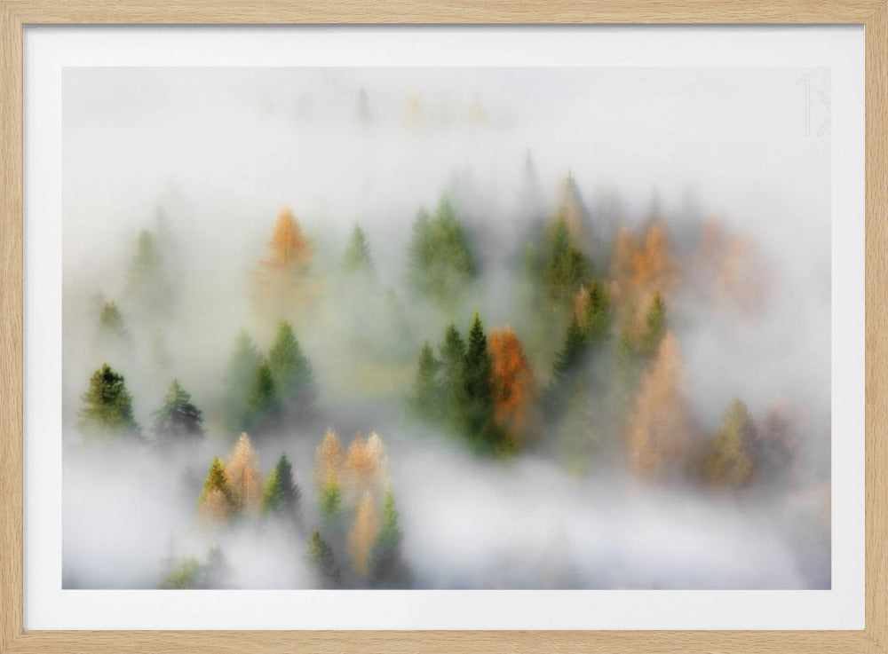 Herbsttraum | Poster - Kunstdruck