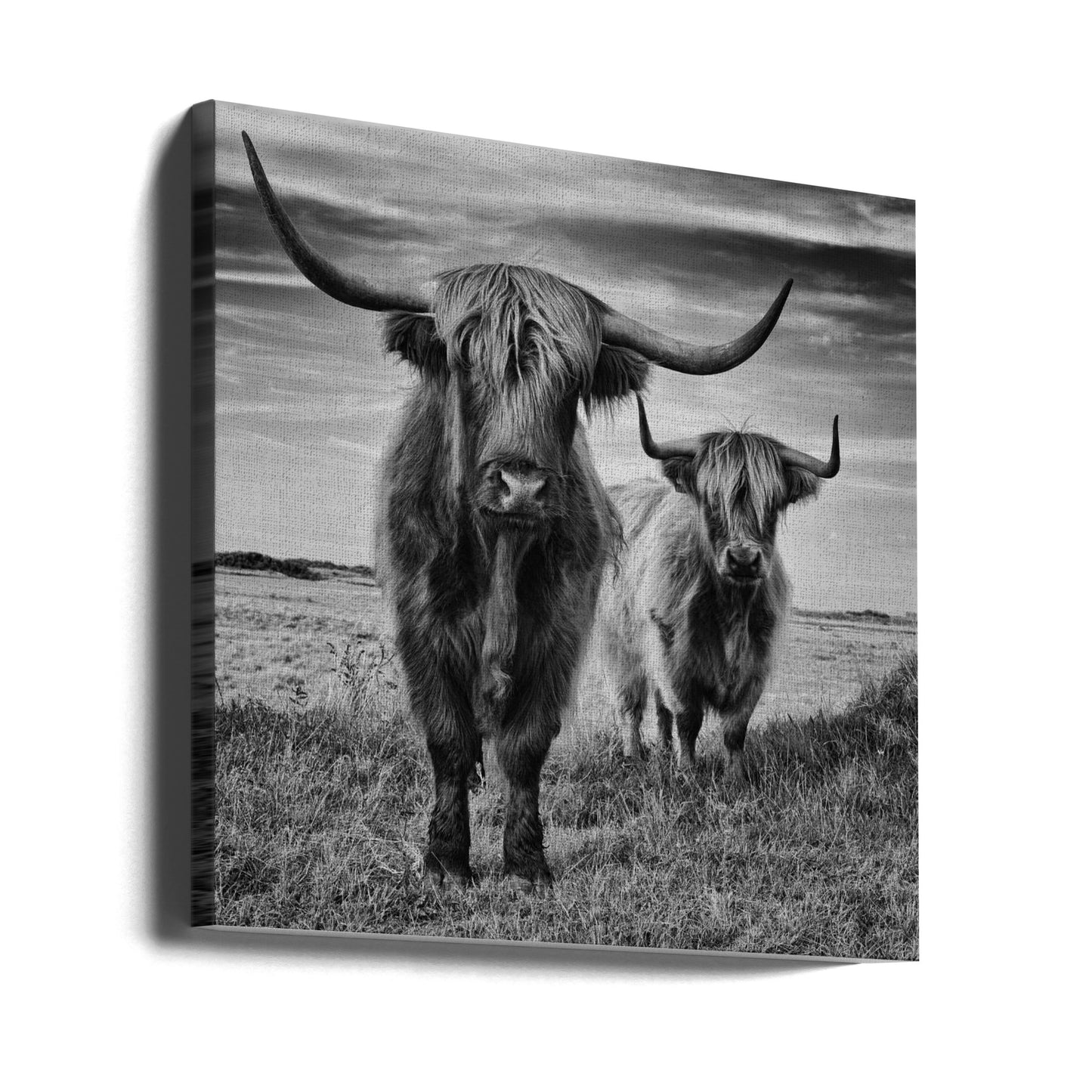 Hautes Terres | Tableaux sur Toile