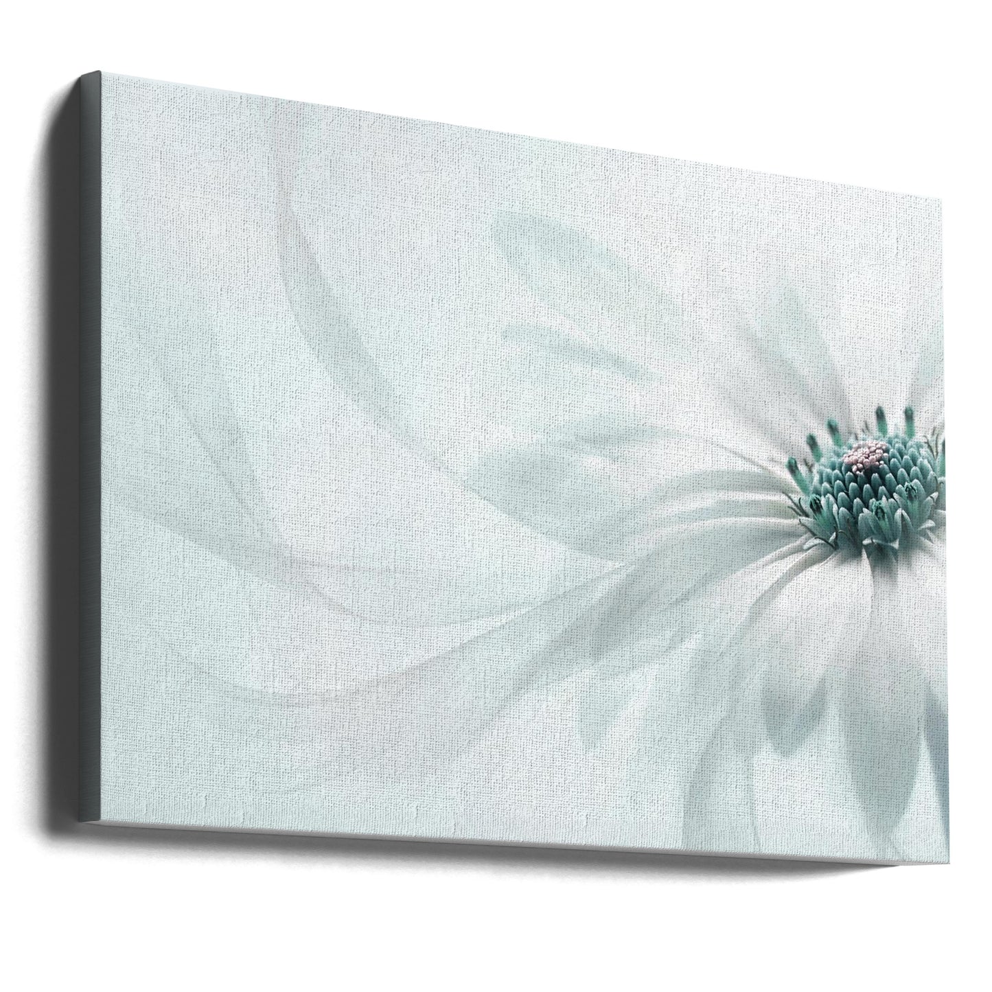 Purity | Canvas