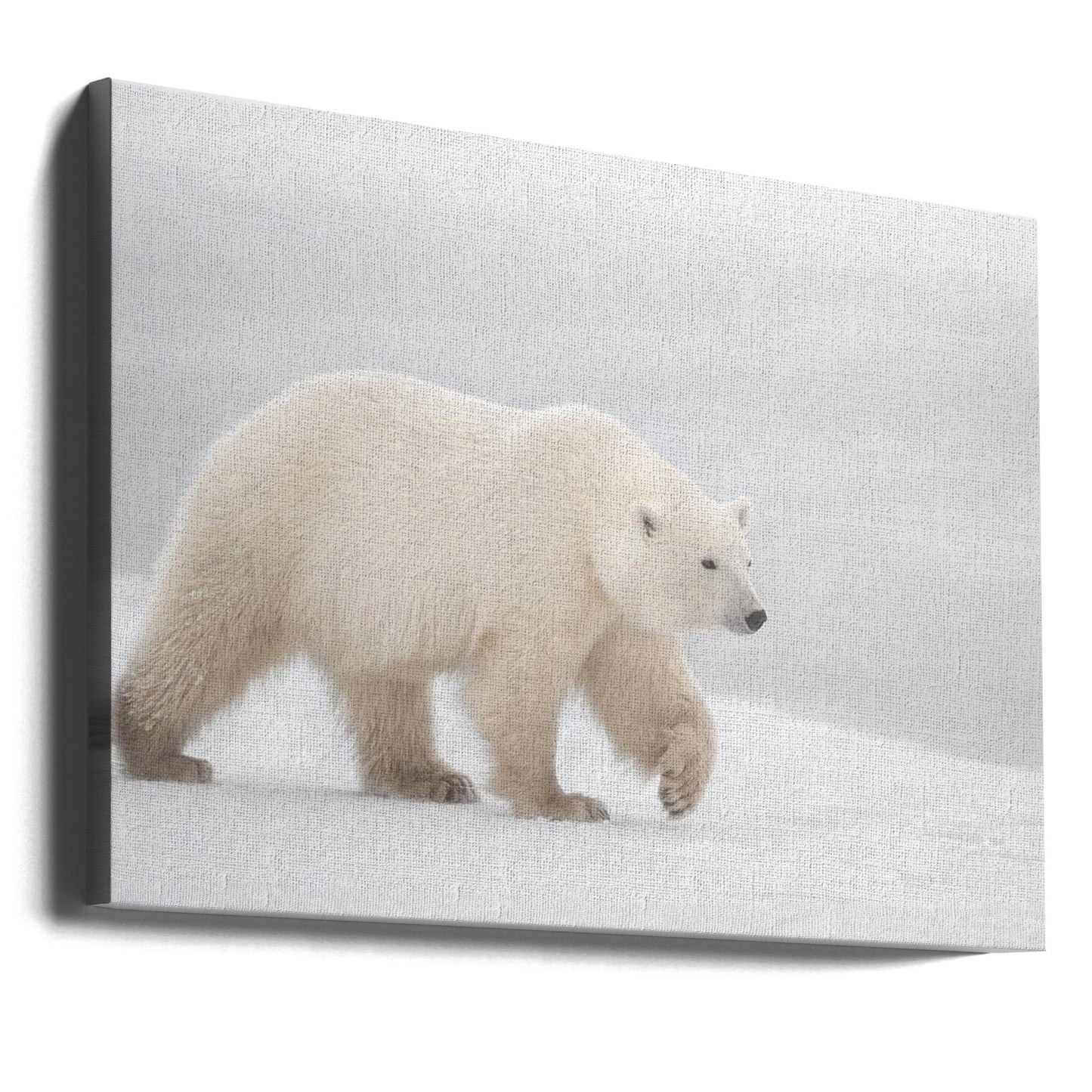 Wit | Canvasprints