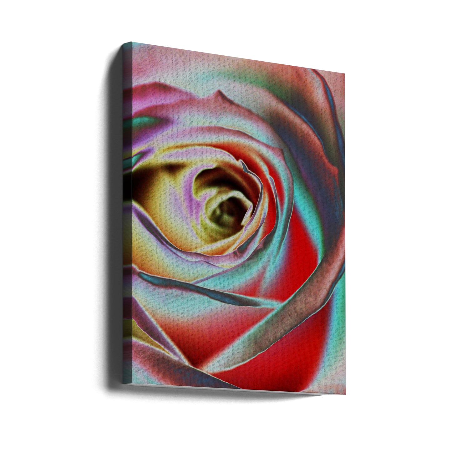 Rosa | Impresiones en Lienzo