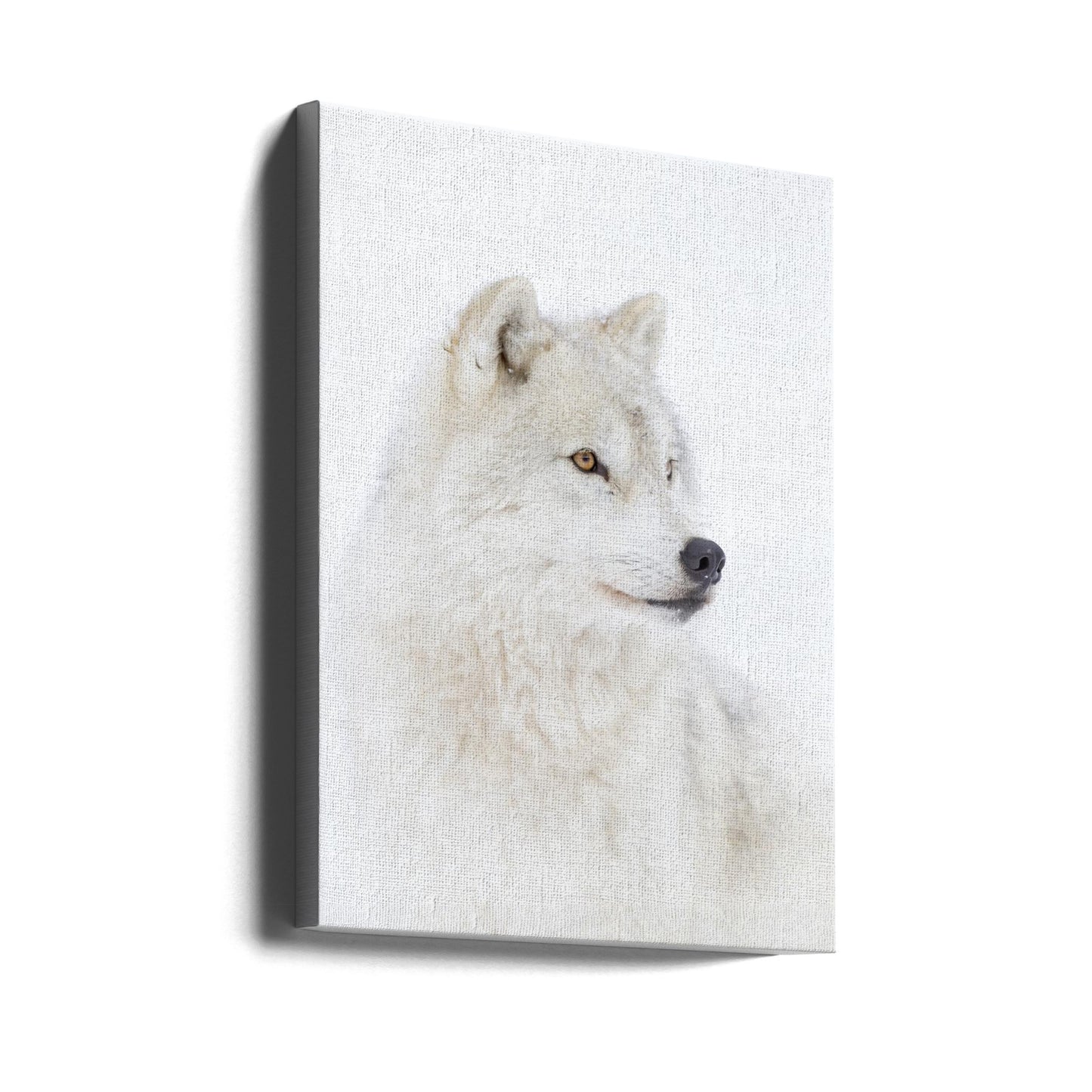Porträtt av en arktisk varg | Canvas