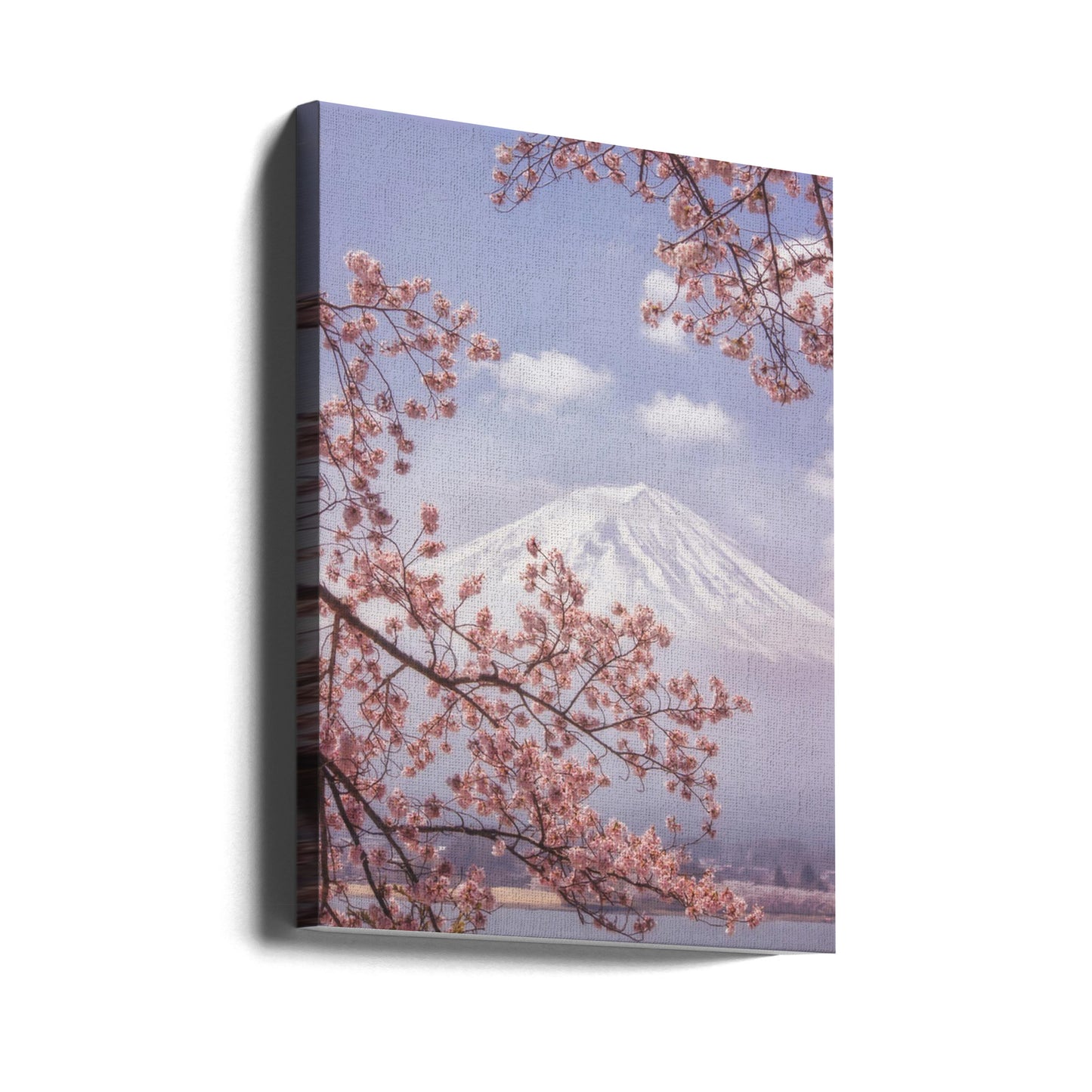 Berget Fuji i körsbärsblommorna | Canvas