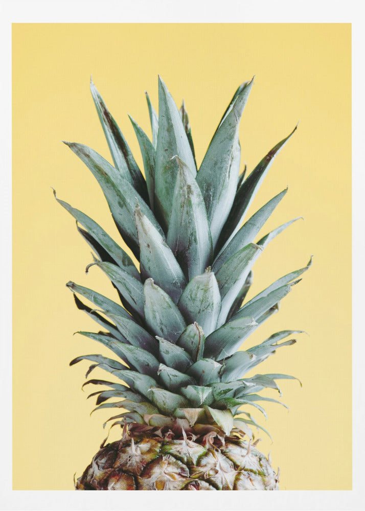Ananas Żółty 03 | Plakaty - Wydruki Artystyczne