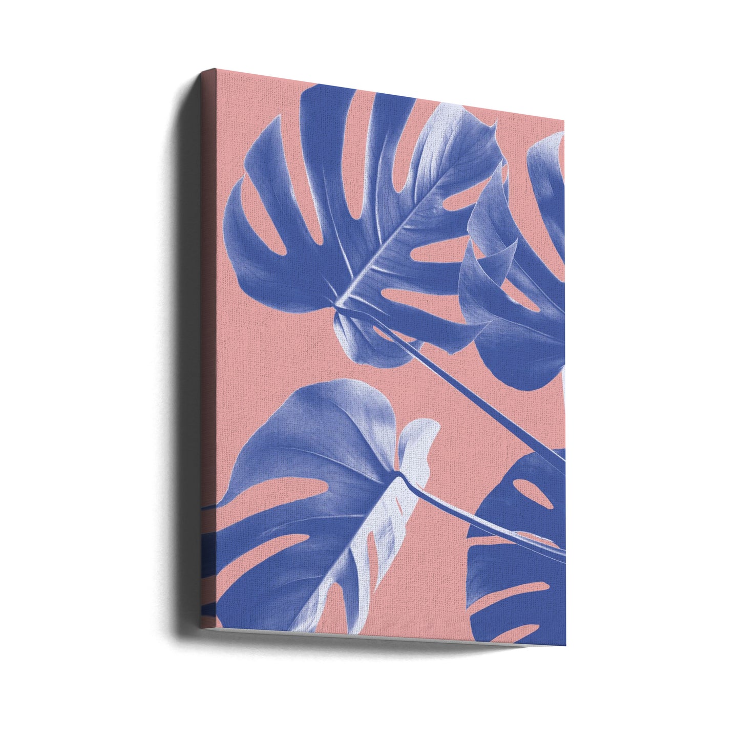 Monstera Viola 06 | Stampe su Tela