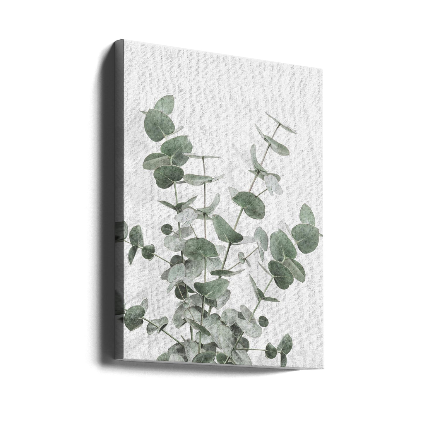 Eukalyptus Luova 16 | Canvastaulut