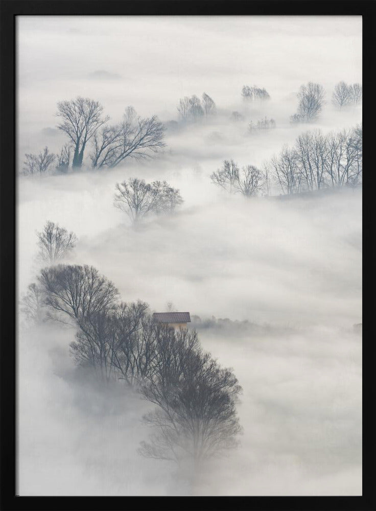 Arbres dans le brouillard | Affiche