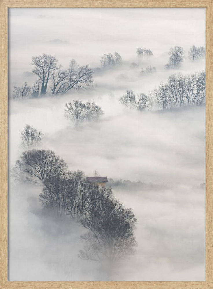 Arbres dans le brouillard | Affiche