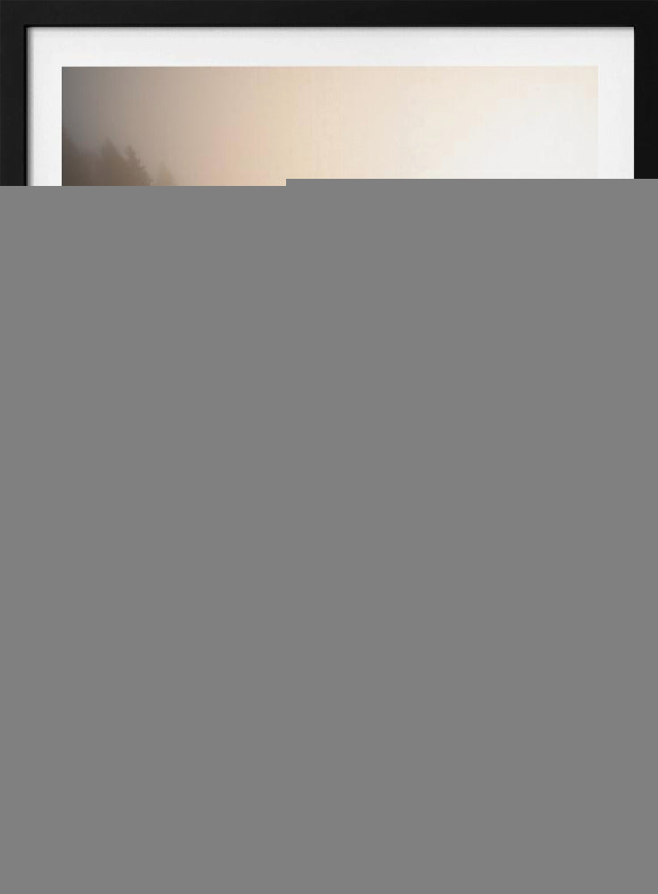 La bataille... | Affiche