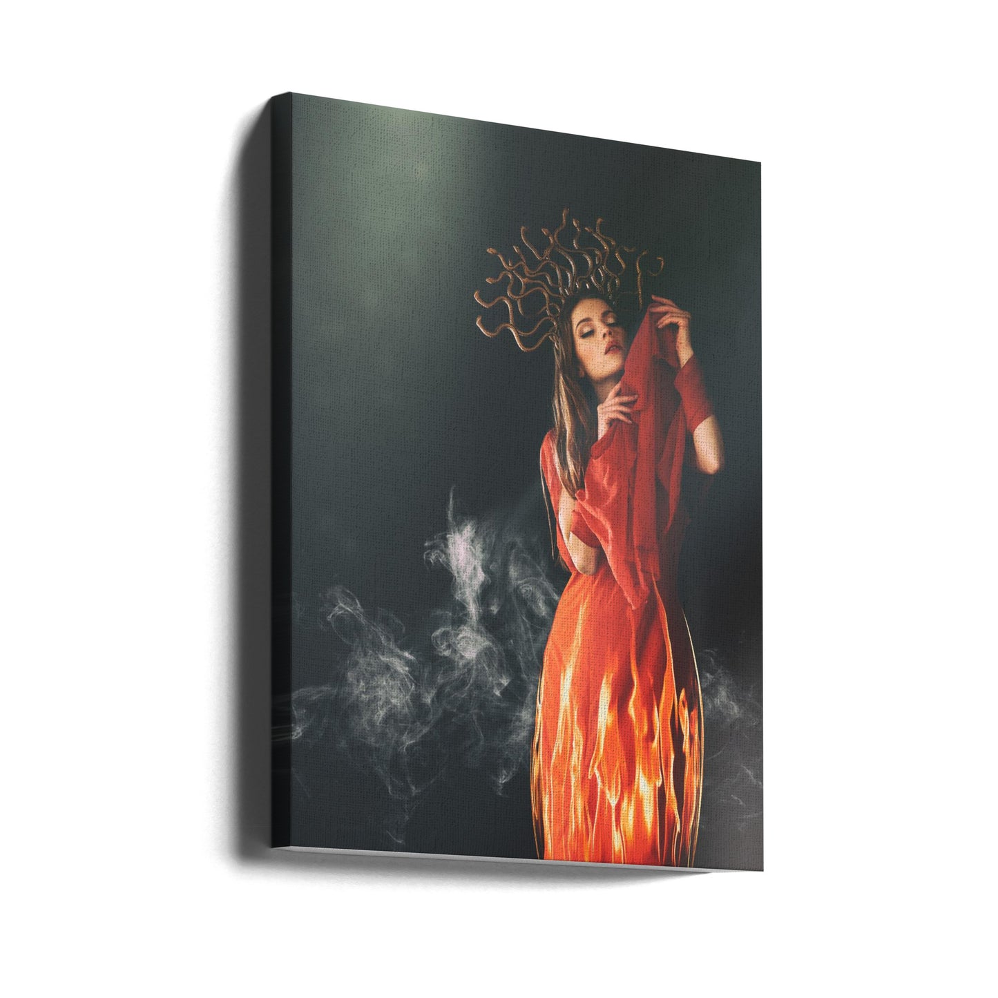 Méduse | Tableaux sur Toile
