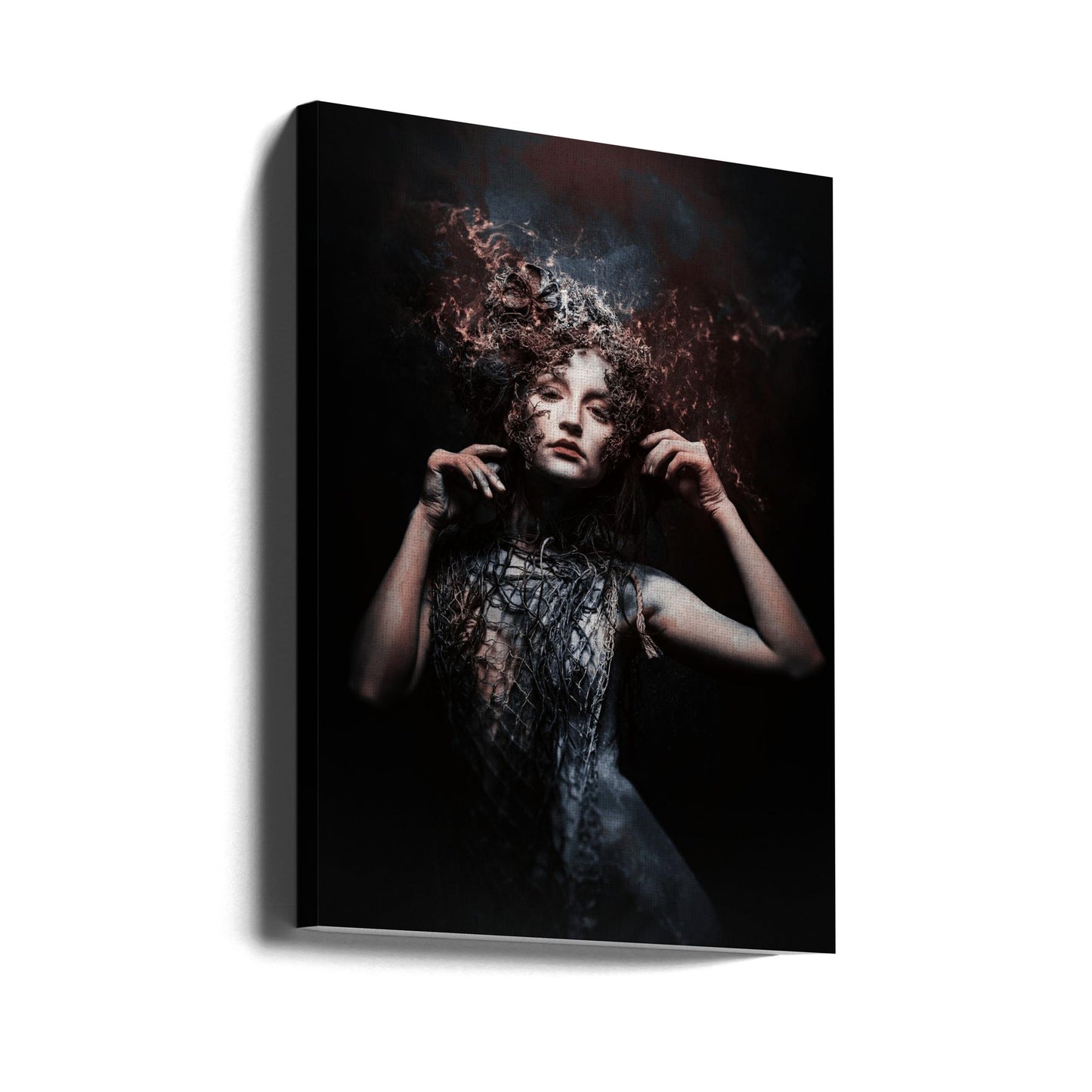 vanuit de ruimte | Canvasprints